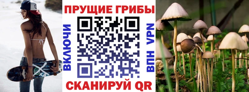 Галлюциногенные грибы прущие грибы  Сосенский 